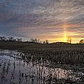 Ohio Sun Flare