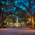 Early Morning Savannah