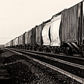 Evening On the Railroad