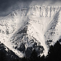 Winter Storm Light